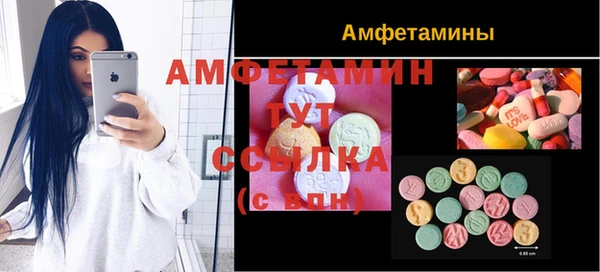 соль ск Вяземский