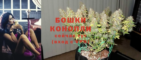 соль ск Вяземский