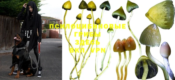 прущая мука Вязники