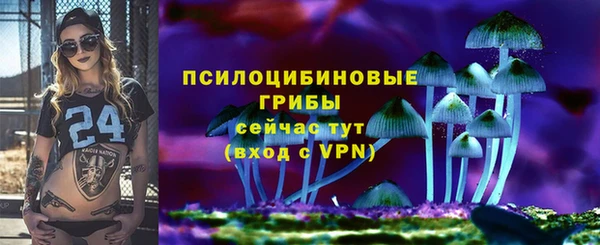 крисы Горняк