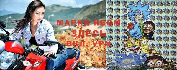 соль ск Вяземский