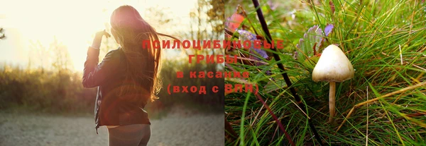 соль ск Вяземский