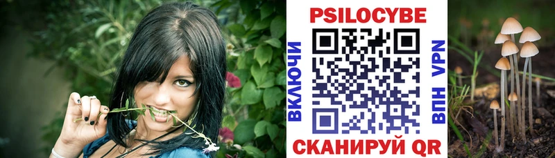 Галлюциногенные грибы мицелий  Донецк 
